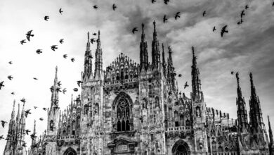 Furti e rapine a Milano per l80 da stranieri