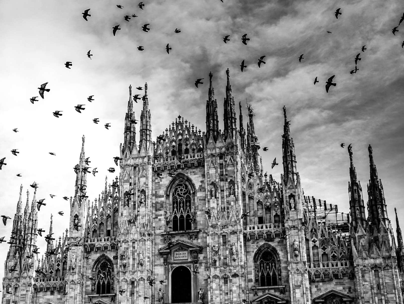 Furti e rapine a Milano per l80 da stranieri