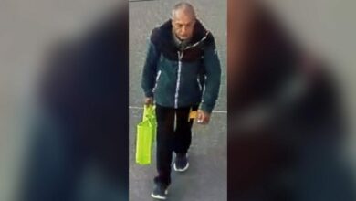 Laccoltellatore di Gae Aulenti