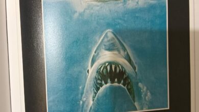 Lo Squalo locandina - attualita.it