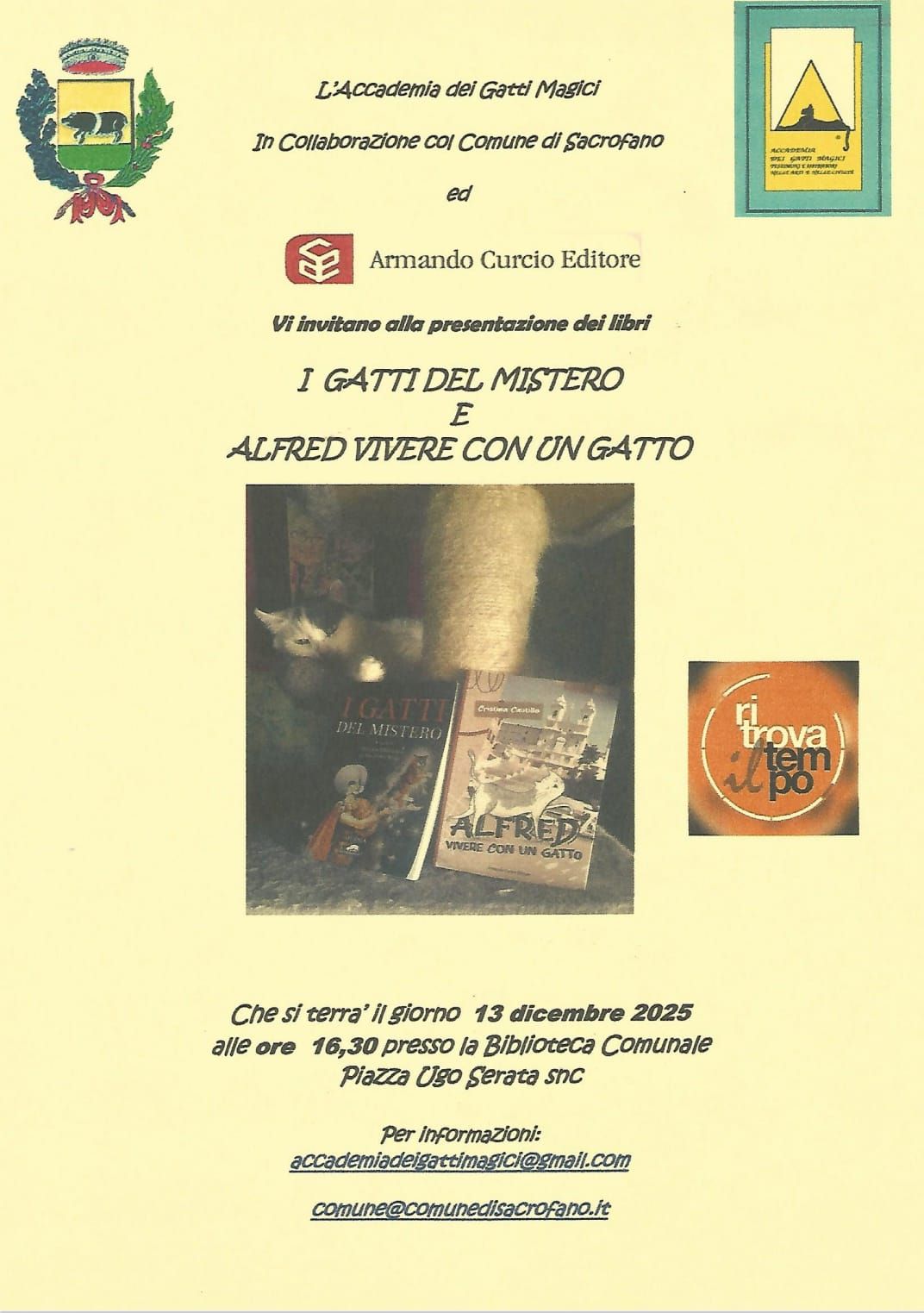 accademia gatti magici sacrofano - attualita.it