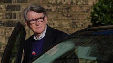 Scandalo Epstein arresto di Peter Mandelson scuote il Regno Unito 1