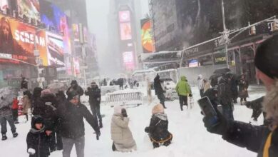 bufera neve new york