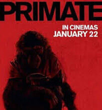 santambrogio-Primate-foto-web.jpg