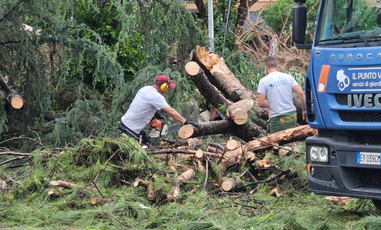 Operai al lavoro per rimuovere gli alberi caduti su Via dei Prati Fiscali a Roma