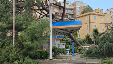 Fallen tree leans on a blue and orange gas station canopy, pumps visible beneath and apartment buildings in the background.